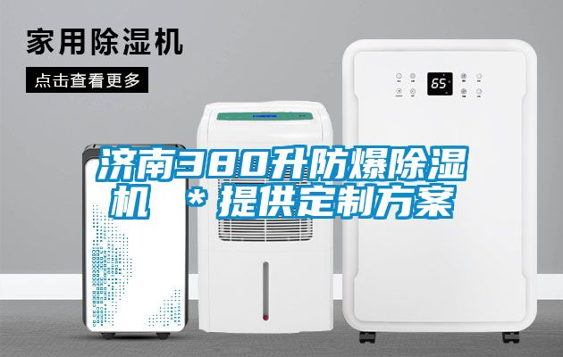 濟(jì)南380升防爆除濕機(jī) ＊提供定制方案