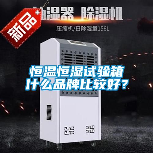 恒溫恒濕試驗箱什么品牌比較好？