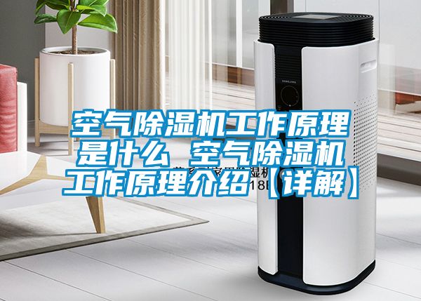 空氣除濕機(jī)工作原理是什么 空氣除濕機(jī)工作原理介紹【詳解】