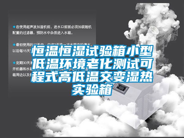 恒溫恒濕試驗箱小型低溫環(huán)境老化測試可程式高低溫交變濕熱實驗箱