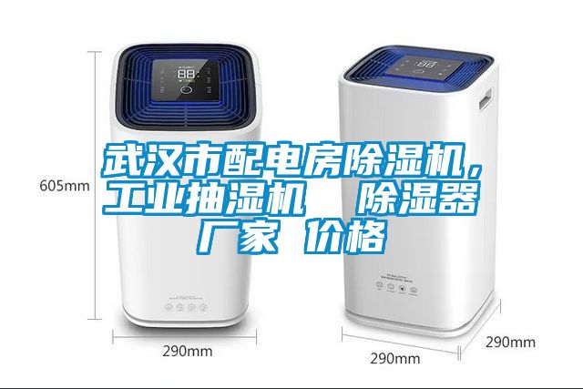 武漢市配電房除濕機(jī)，工業(yè)抽濕機(jī)  除濕器廠家 價(jià)格