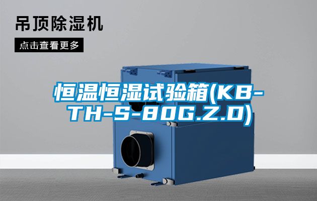 恒溫恒濕試驗箱(KB-TH-S-80G.Z.D)