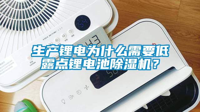 生產(chǎn)鋰電為什么需要低露點鋰電池除濕機？