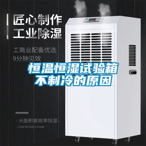 恒溫恒濕試驗(yàn)箱不制冷的原因