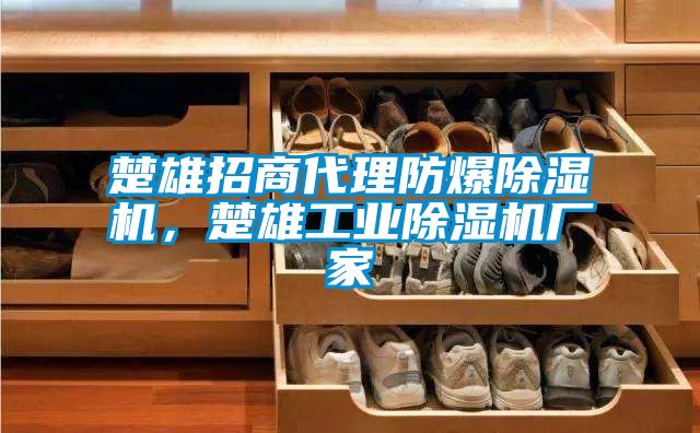 楚雄招商代理防爆除濕機(jī)，楚雄工業(yè)除濕機(jī)廠家