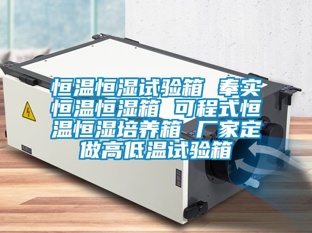 恒溫恒濕試驗(yàn)箱 奉實(shí)恒溫恒濕箱 可程式恒溫恒濕培養(yǎng)箱 廠家定做高低溫試驗(yàn)箱