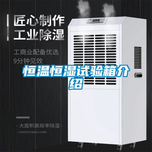 恒溫恒濕試驗箱介紹
