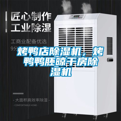 烤鴨店除濕機(jī)，烤鴨鴨胚晾干房除濕機(jī)