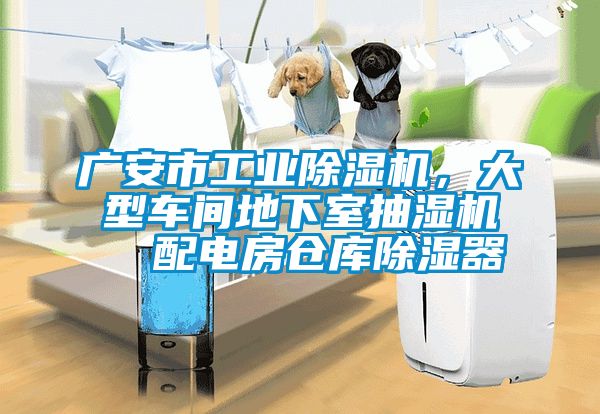 廣安市工業(yè)除濕機(jī)，大型車間地下室抽濕機(jī)  配電房倉庫除濕器