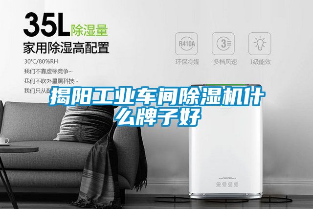 揭陽(yáng)工業(yè)車(chē)間除濕機(jī)什么牌子好