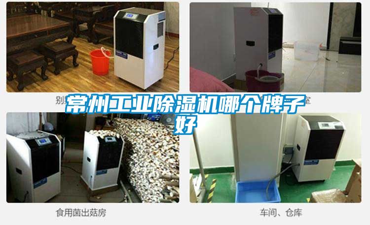 常州工業(yè)除濕機哪個牌子好