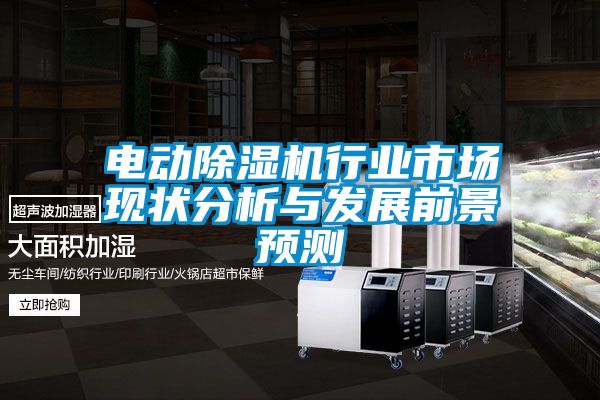 電動除濕機行業(yè)市場現狀分析與發(fā)展前景預測