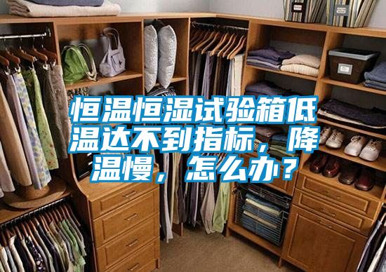 恒溫恒濕試驗箱低溫達不到指標，降溫慢，怎么辦？