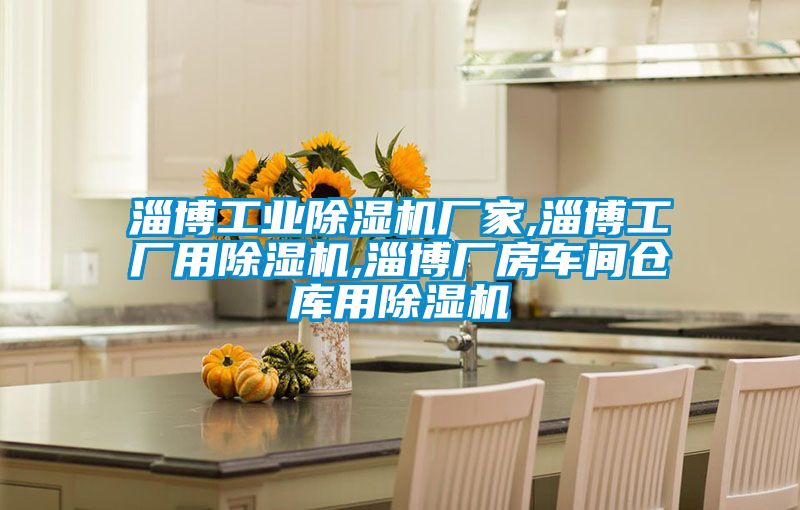 淄博工業(yè)除濕機廠家,淄博工廠用除濕機,淄博廠房車間倉庫用除濕機