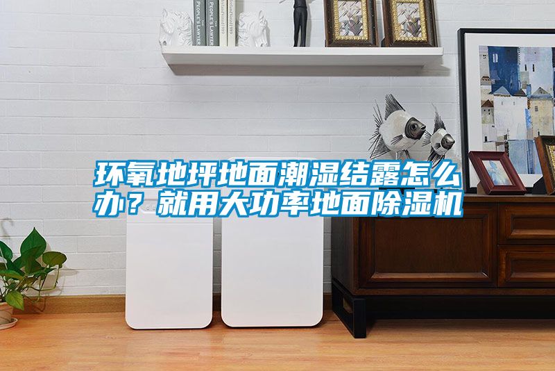 環(huán)氧地坪地面潮濕結(jié)露怎么辦？就用大功率地面除濕機