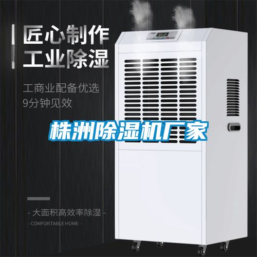 株洲除濕機(jī)廠家