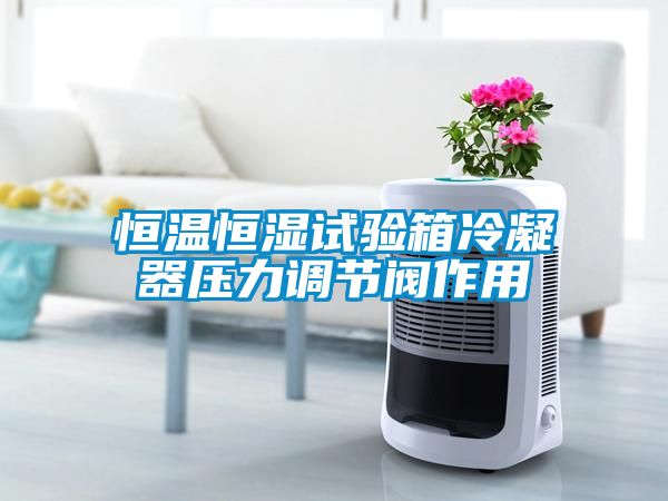 恒溫恒濕試驗箱冷凝器壓力調(diào)節(jié)閥作用