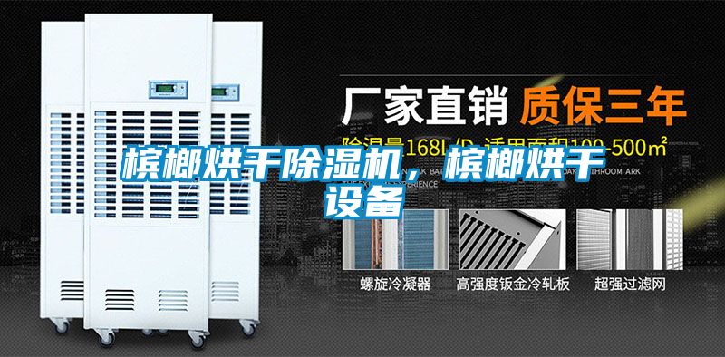 檳榔烘干除濕機(jī)，檳榔烘干設(shè)備