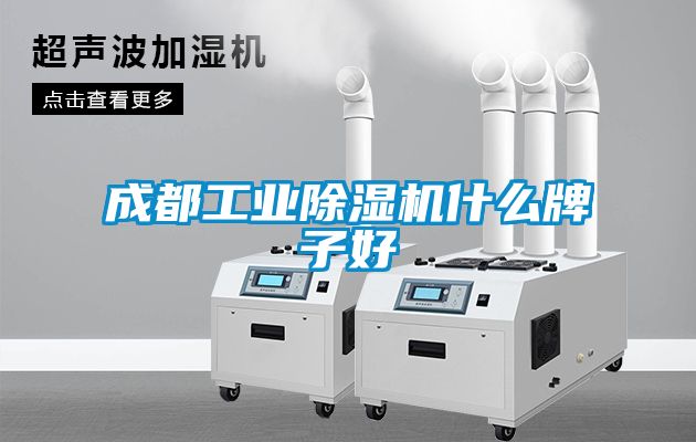 成都工業(yè)除濕機(jī)什么牌子好