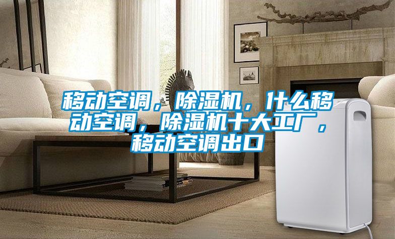 移動(dòng)空調(diào)，除濕機(jī)，什么移動(dòng)空調(diào)，除濕機(jī)十大工廠，移動(dòng)空調(diào)出口