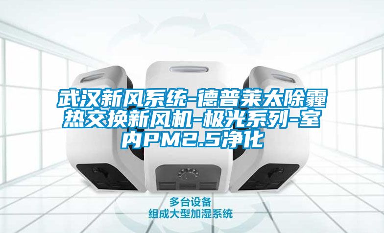 武漢新風(fēng)系統(tǒng)-德普萊太除霾熱交換新風(fēng)機-極光系列-室內(nèi)PM2.5凈化