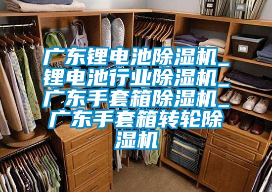 廣東鋰電池除濕機_鋰電池行業(yè)除濕機_廣東手套箱除濕機_廣東手套箱轉(zhuǎn)輪除濕機