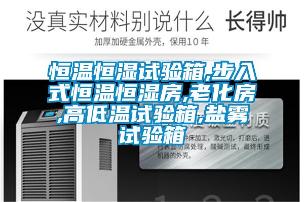 恒溫恒濕試驗箱,步入式恒溫恒濕房,老化房,高低溫試驗箱,鹽霧試驗箱