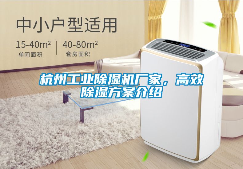 杭州工業(yè)除濕機(jī)廠家，高效除濕方案介紹