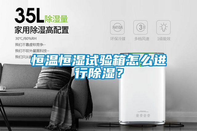 恒溫恒濕試驗(yàn)箱怎么進(jìn)行除濕？