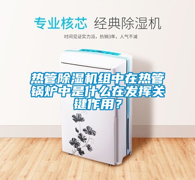 熱管除濕機組中在熱管鍋爐中是什么在發(fā)揮關(guān)鍵作用？