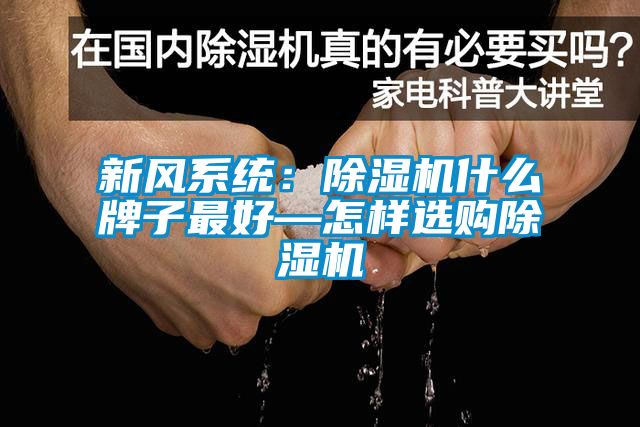 新風(fēng)系統(tǒng)：除濕機(jī)什么牌子最好—怎樣選購除濕機(jī)