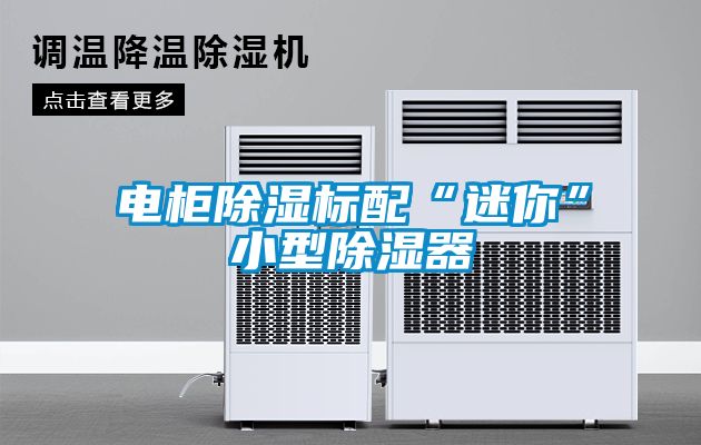 電柜除濕標(biāo)配“迷你”小型除濕器