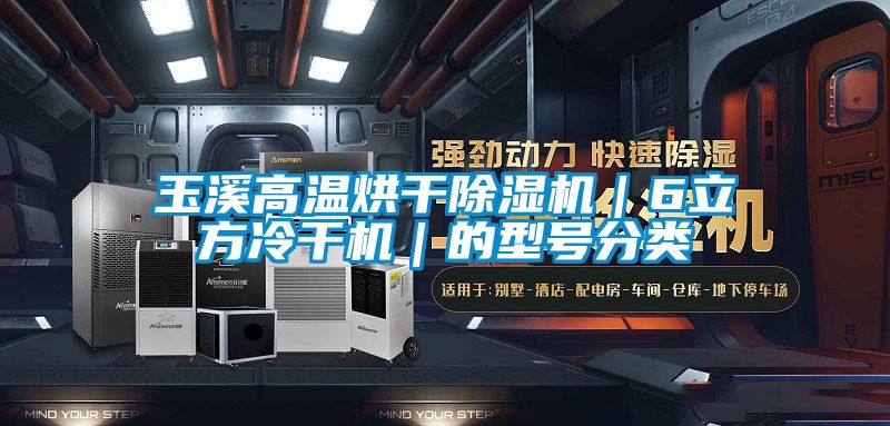 玉溪高溫烘干除濕機(jī)｜6立方冷干機(jī)｜的型號分類