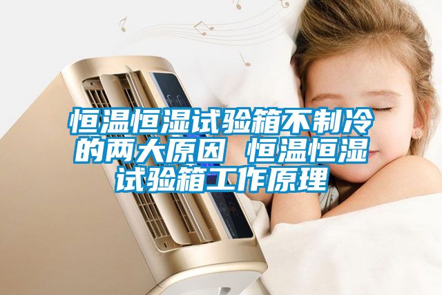 恒溫恒濕試驗箱不制冷的兩大原因 恒溫恒濕試驗箱工作原理