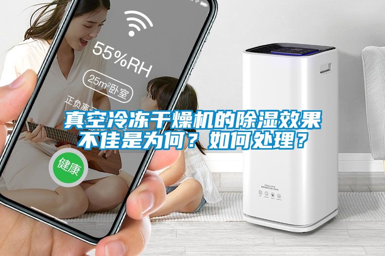 真空冷凍干燥機的除濕效果不佳是為何？如何處理？