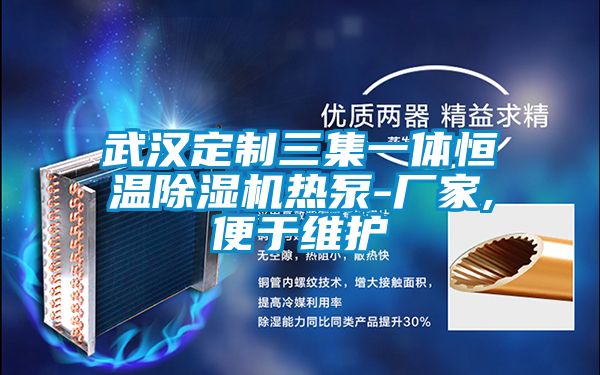 武漢定制三集一體恒溫除濕機(jī)熱泵-廠家,便于維護(hù)