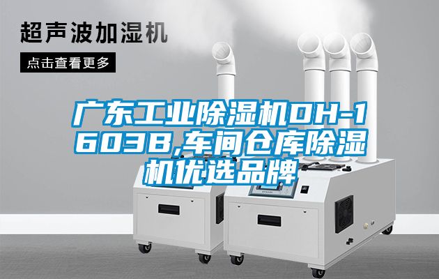 廣東工業(yè)除濕機DH-1603B,車間倉庫除濕機優(yōu)選品牌
