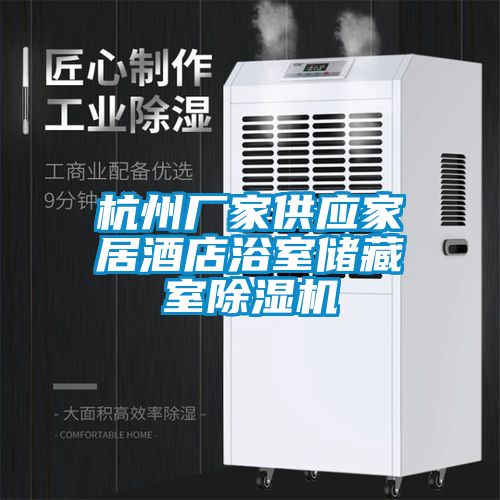杭州廠家供應(yīng)家居酒店浴室儲(chǔ)藏室除濕機(jī)