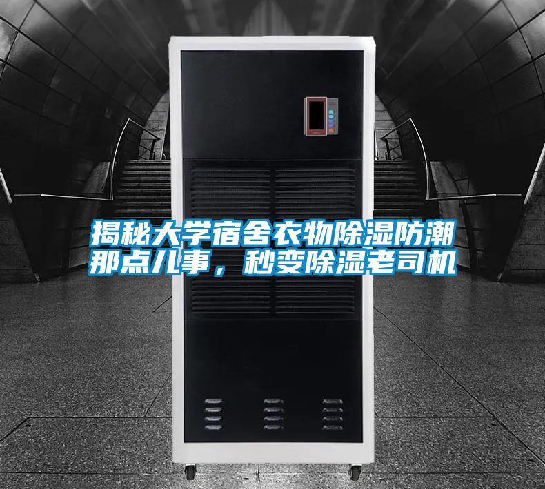 揭秘大學(xué)宿舍衣物除濕防潮那點(diǎn)兒事，秒變除濕老司機(jī)