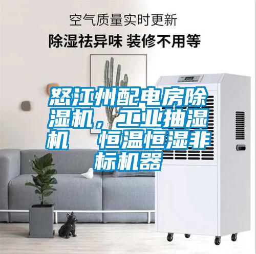 怒江州配電房除濕機(jī)，工業(yè)抽濕機(jī)  恒溫恒濕非標(biāo)機(jī)器