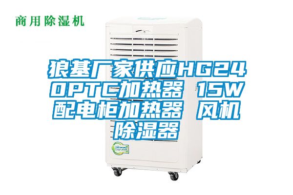 狼基廠家供應(yīng)HG240PTC加熱器 15W配電柜加熱器 風(fēng)機(jī)除濕器