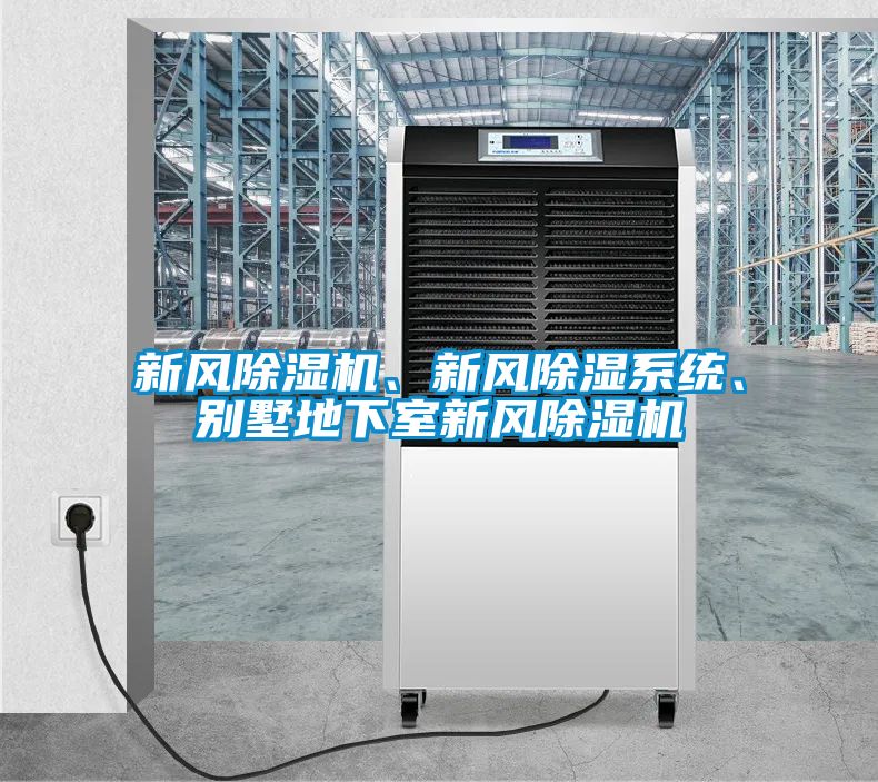 新風(fēng)除濕機(jī)、新風(fēng)除濕系統(tǒng)、別墅地下室新風(fēng)除濕機(jī)