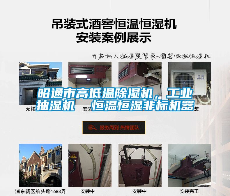 昭通市高低溫除濕機(jī)，工業(yè)抽濕機(jī)  恒溫恒濕非標(biāo)機(jī)器