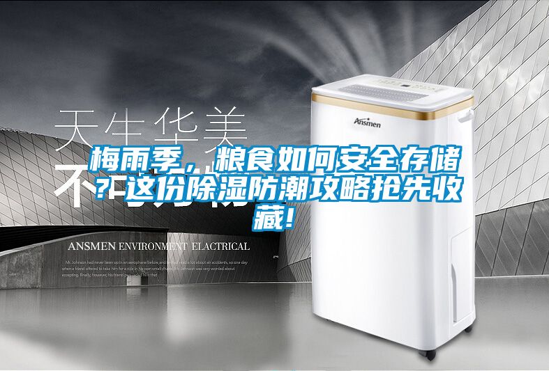 梅雨季，糧食如何安全存儲？這份除濕防潮攻略搶先收藏!
