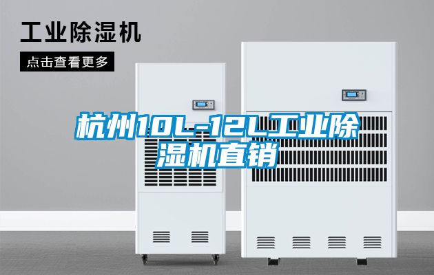 杭州10L-12L工業(yè)除濕機直銷