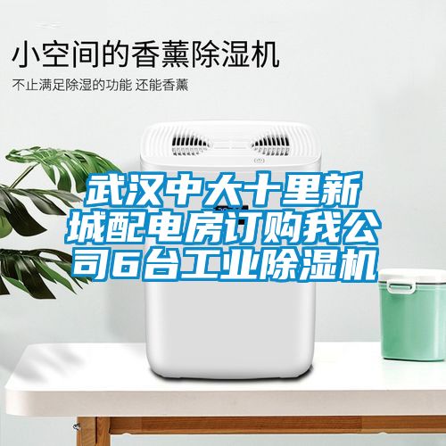 武漢中大十里新城配電房訂購我公司6臺工業(yè)除濕機