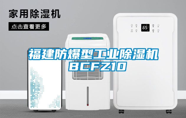 福建防爆型工業(yè)除濕機 BCFZ10