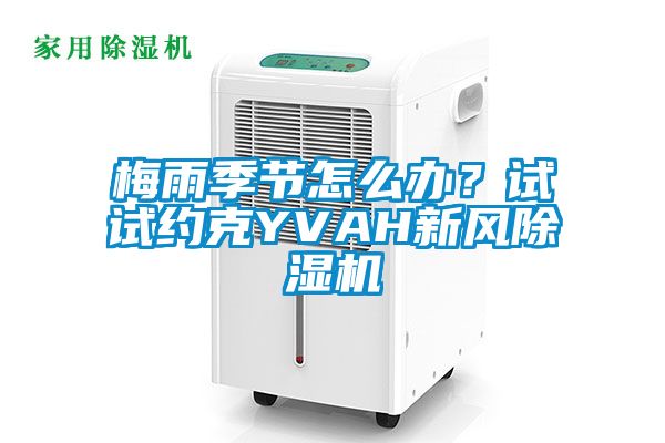 梅雨季節(jié)怎么辦？試試約克YVAH新風(fēng)除濕機
