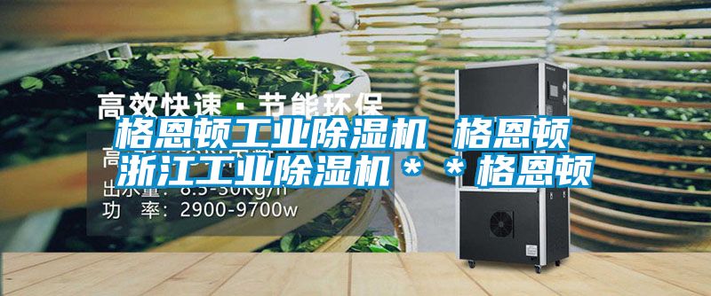 格恩頓工業(yè)除濕機(jī) 格恩頓 浙江工業(yè)除濕機(jī)＊＊格恩頓
