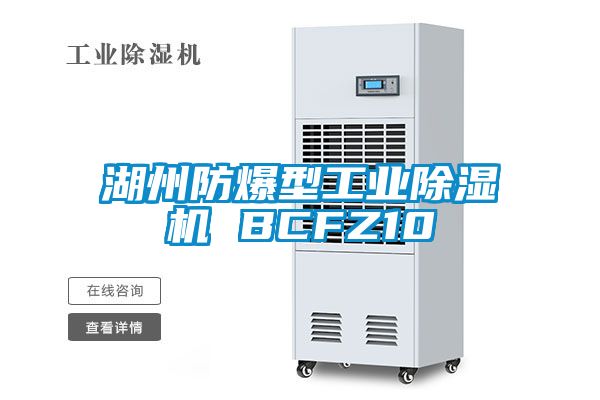 湖州防爆型工業(yè)除濕機 BCFZ10